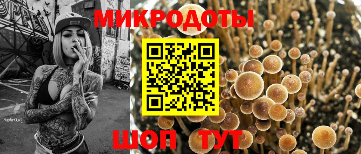 Псилоцибиновые грибы мухоморы Майкоп