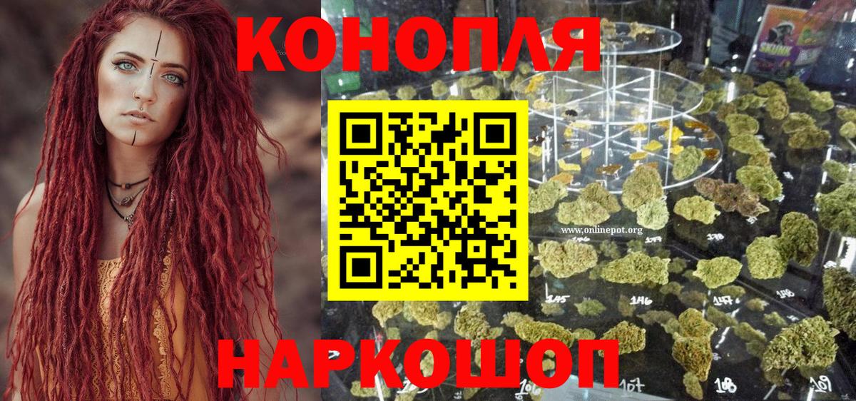 ТГК Майкоп
